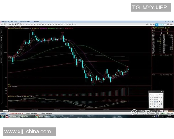 杭州羽毛球队与上海羽毛球队赛后复盘分析比赛节奏与战术对决